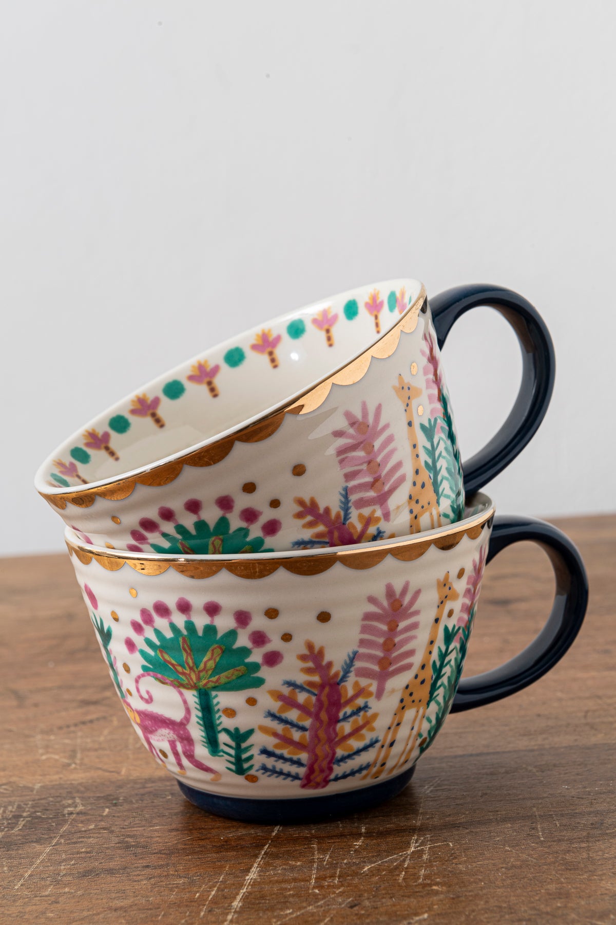 TAZAS  ANTHROPOLOGIE