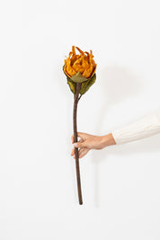 FLOR DECORATIVA