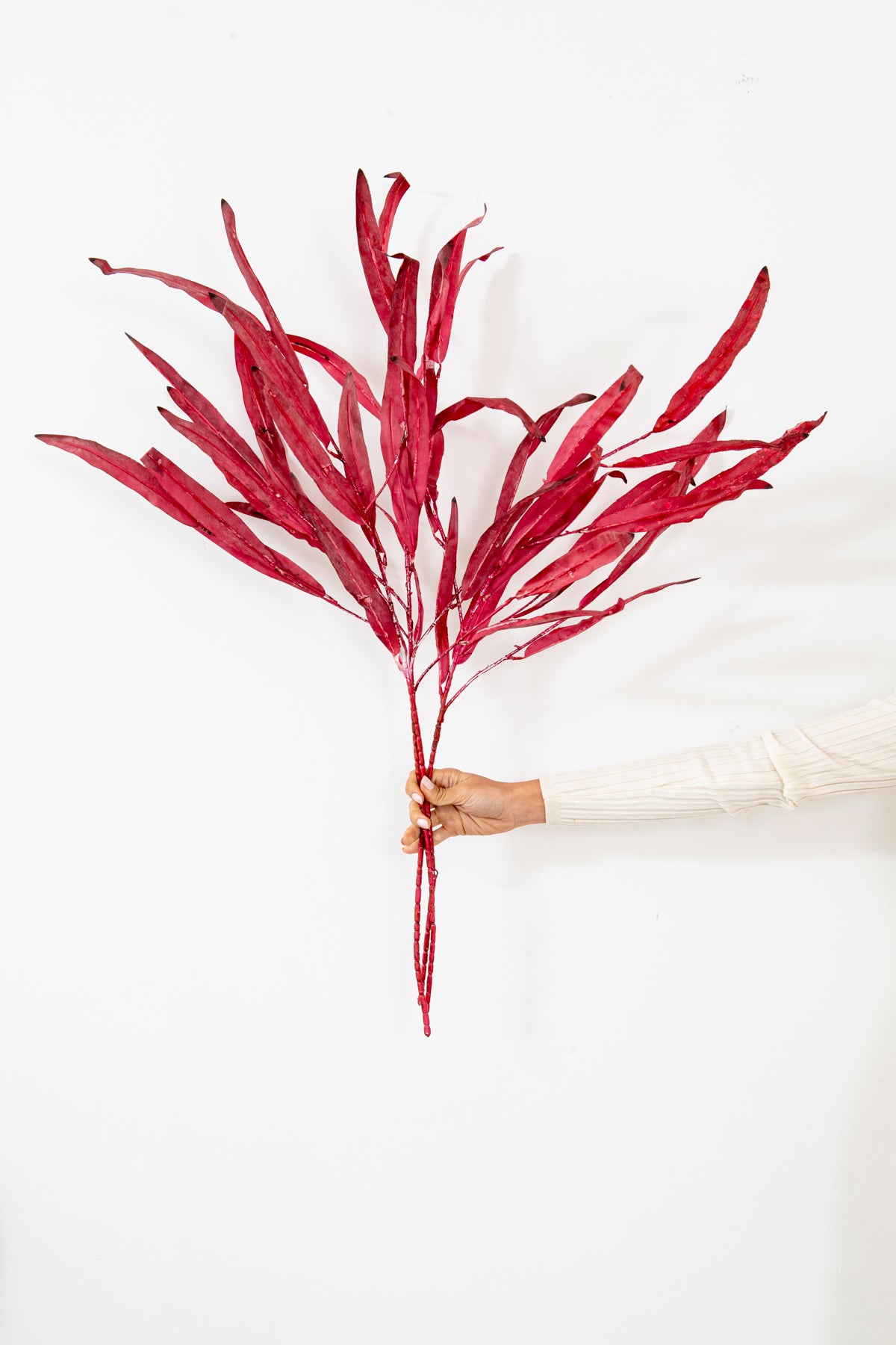 RAMA  ROJA