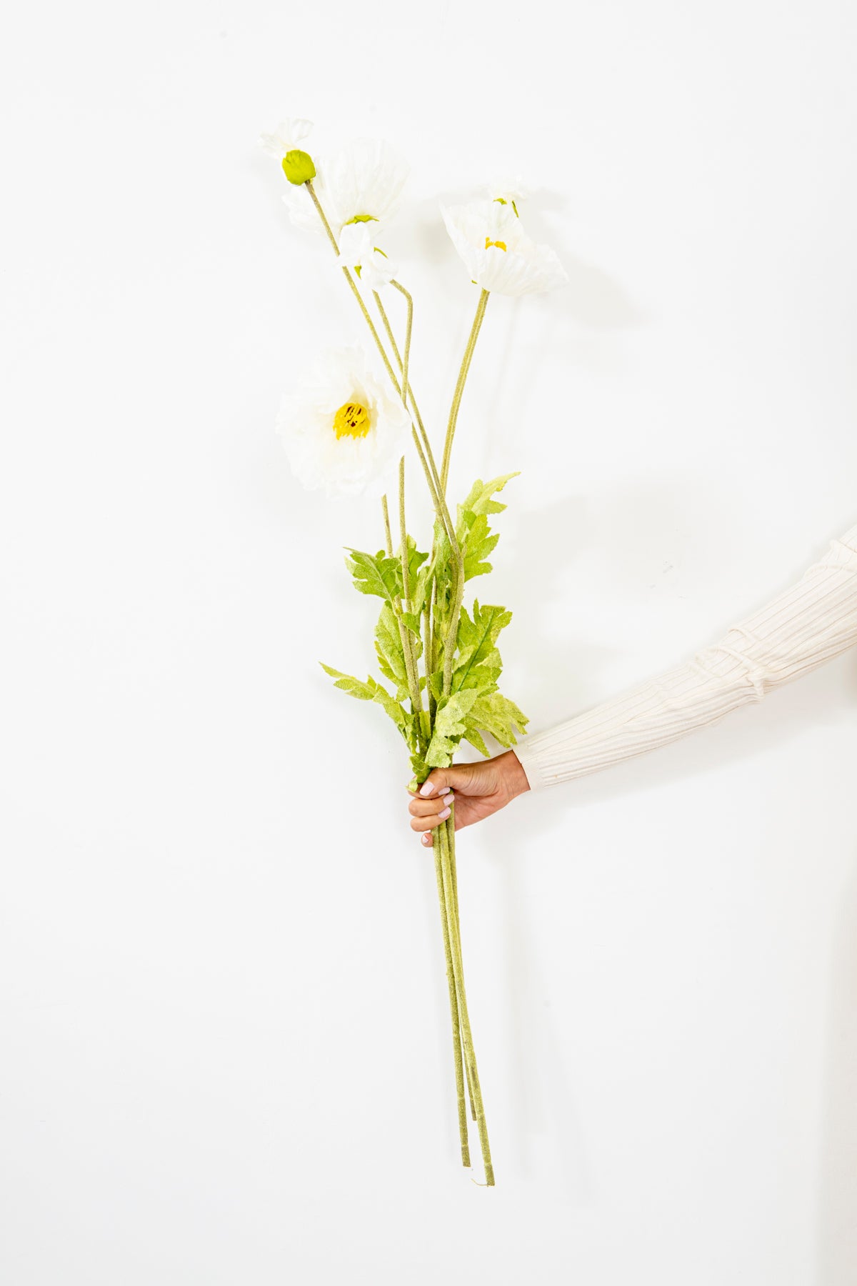 FLOR  AMAPOLA