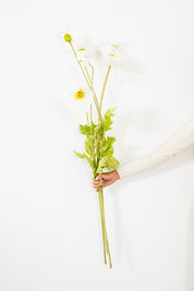 FLOR  AMAPOLA