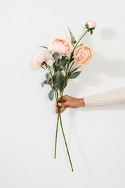 RAMO PEONIA