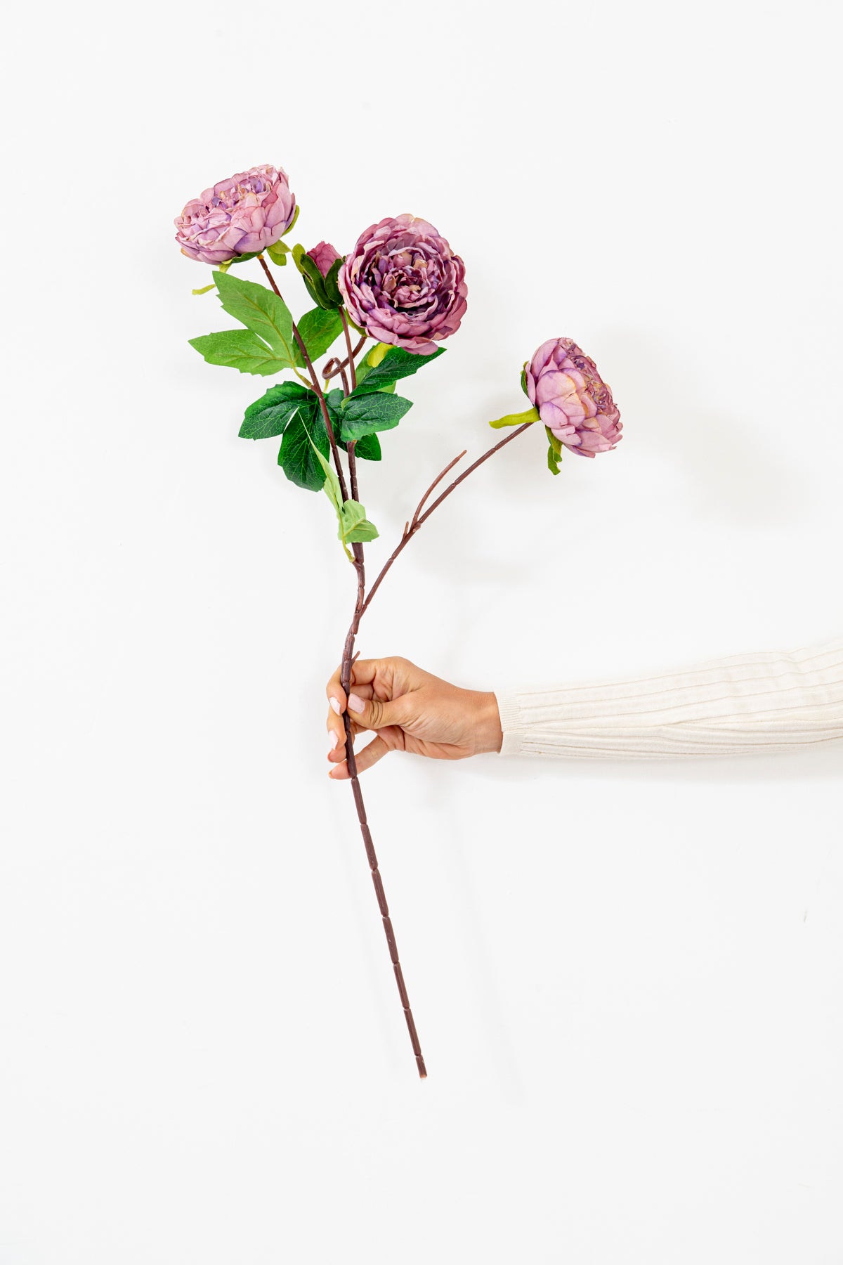 RAMO PEONIA