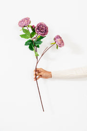 RAMO PEONIA