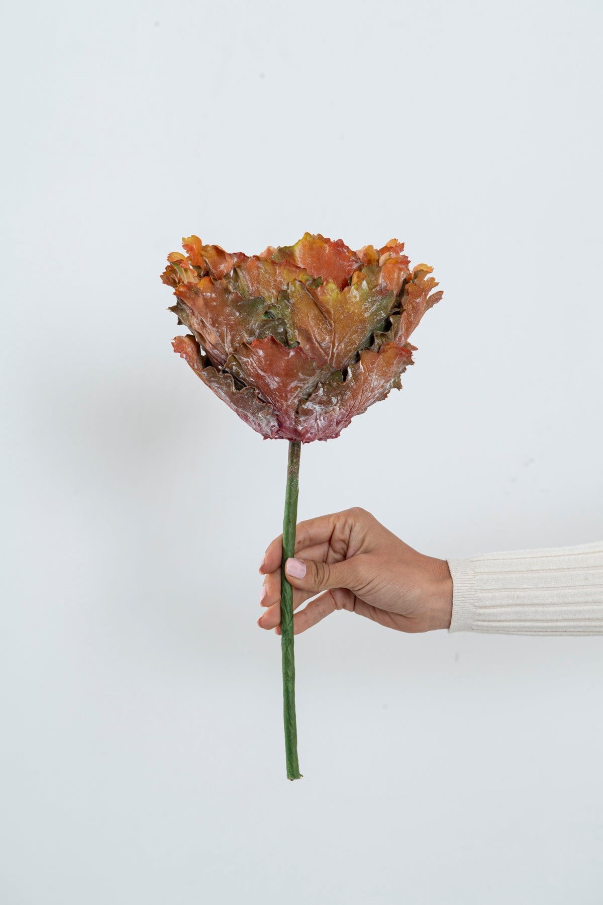 FLOR  ALCACHOFA