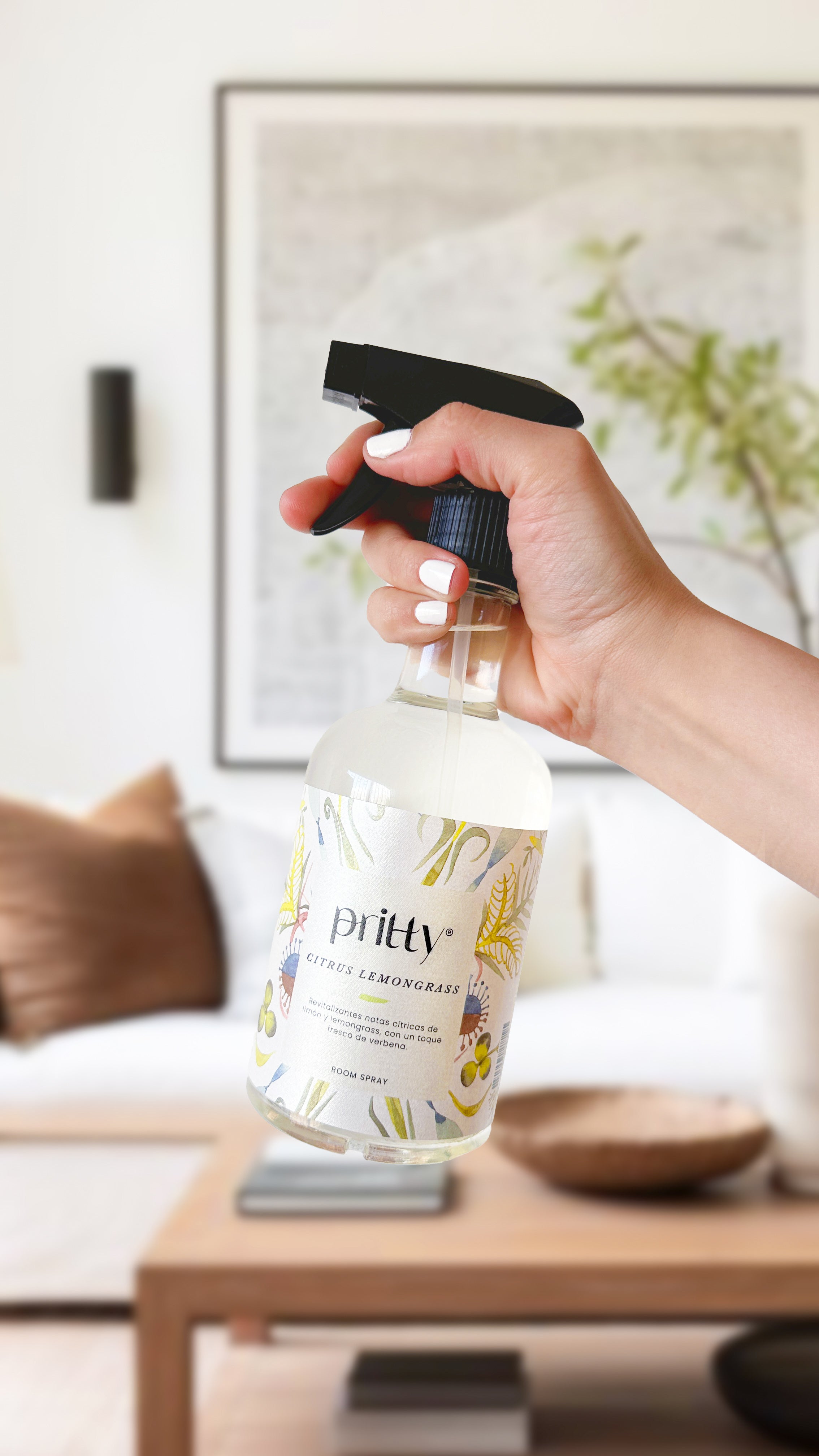 HOME SPRAY BY PRITTY